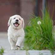 ヒメ日記 2025/05/03 07:52 投稿 ゆめ Second Love（セカンドラブ）