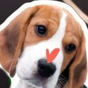 ヒメ日記 2025/05/03 19:00 投稿 ゆめ Second Love（セカンドラブ）