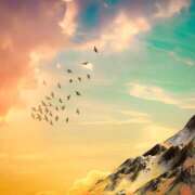 ヒメ日記 2025/05/04 15:21 投稿 ゆめ Second Love（セカンドラブ）