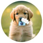 ヒメ日記 2025/05/15 18:17 投稿 ゆめ Second Love（セカンドラブ）