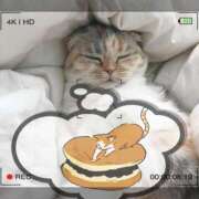 ヒメ日記 2025/05/17 22:51 投稿 ゆめ Second Love（セカンドラブ）