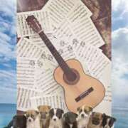 ヒメ日記 2025/05/19 16:35 投稿 ゆめ Second Love（セカンドラブ）