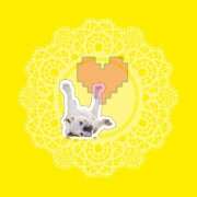 ヒメ日記 2025/05/21 14:40 投稿 ゆめ Second Love（セカンドラブ）