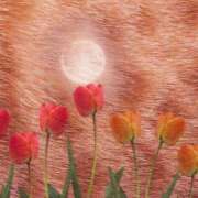 ヒメ日記 2025/05/25 00:32 投稿 ゆめ Second Love（セカンドラブ）