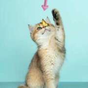 ヒメ日記 2025/05/25 14:48 投稿 ゆめ Second Love（セカンドラブ）