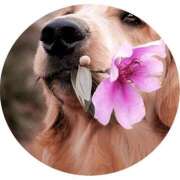 ヒメ日記 2025/05/28 15:26 投稿 ゆめ Second Love（セカンドラブ）