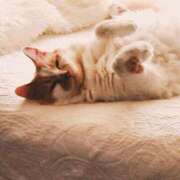 ヒメ日記 2025/05/30 07:57 投稿 ゆめ Second Love（セカンドラブ）