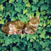 ヒメ日記 2025/05/31 16:57 投稿 ゆめ Second Love（セカンドラブ）