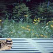 ヒメ日記 2025/06/01 17:42 投稿 ゆめ Second Love（セカンドラブ）