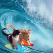 ヒメ日記 2025/06/04 20:57 投稿 ゆめ Second Love（セカンドラブ）