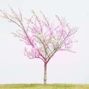 ヒメ日記 2025/06/07 08:26 投稿 ゆめ Second Love（セカンドラブ）