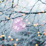 ヒメ日記 2025/06/08 04:17 投稿 ゆめ Second Love（セカンドラブ）