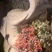 ヒメ日記 2025/06/08 13:46 投稿 ゆめ Second Love（セカンドラブ）