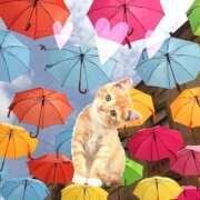 ヒメ日記 2025/06/12 11:10 投稿 ゆめ Second Love（セカンドラブ）