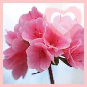 ヒメ日記 2025/06/12 12:01 投稿 ゆめ Second Love（セカンドラブ）