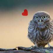 ヒメ日記 2025/06/14 18:37 投稿 ゆめ Second Love（セカンドラブ）