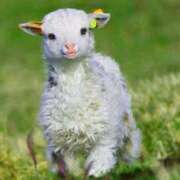 ヒメ日記 2025/06/15 17:48 投稿 ゆめ Second Love（セカンドラブ）