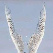 ヒメ日記 2025/06/25 13:24 投稿 ゆめ Second Love（セカンドラブ）