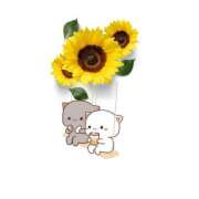 ヒメ日記 2025/06/26 15:54 投稿 ゆめ Second Love（セカンドラブ）