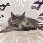 ヒメ日記 2025/06/28 05:58 投稿 ゆめ Second Love（セカンドラブ）