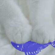 ヒメ日記 2025/06/30 07:01 投稿 ゆめ Second Love（セカンドラブ）