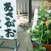 ヒメ日記 2025/07/02 11:30 投稿 ゆめ Second Love（セカンドラブ）