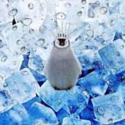 ヒメ日記 2025/07/04 14:00 投稿 ゆめ Second Love（セカンドラブ）