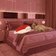 ヒメ日記 2025/07/04 15:42 投稿 ゆめ Second Love（セカンドラブ）