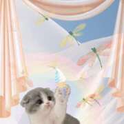 ヒメ日記 2025/07/05 14:44 投稿 ゆめ Second Love（セカンドラブ）