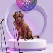 ヒメ日記 2025/07/05 17:03 投稿 ゆめ Second Love（セカンドラブ）