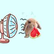 ヒメ日記 2025/07/09 11:30 投稿 ゆめ Second Love（セカンドラブ）