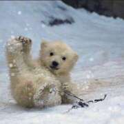 ヒメ日記 2025/07/10 19:18 投稿 ゆめ Second Love（セカンドラブ）