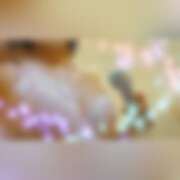 ヒメ日記 2025/07/25 07:00 投稿 ゆめ Second Love（セカンドラブ）