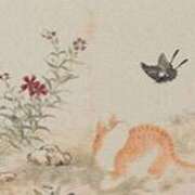 ヒメ日記 2025/07/26 18:54 投稿 ゆめ Second Love（セカンドラブ）