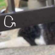 ヒメ日記 2025/08/02 15:36 投稿 ゆめ Second Love（セカンドラブ）