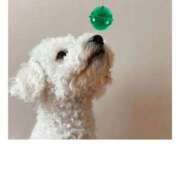 ヒメ日記 2025/08/04 04:37 投稿 ゆめ Second Love（セカンドラブ）