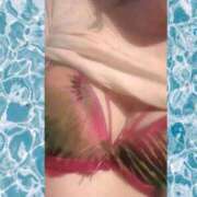 ヒメ日記 2025/11/15 14:15 投稿 ゆめ Second Love（セカンドラブ）