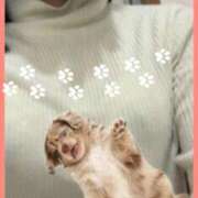 ゆめ ロクシタンのハンドクリーム❤️ Second Love（セカンドラブ）