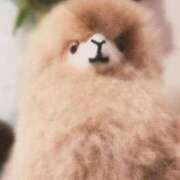 ヒメ日記 2026/01/26 16:45 投稿 ゆめ Second Love（セカンドラブ）