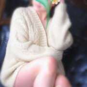 ヒメ日記 2026/04/08 07:35 投稿 ゆめ Second Love（セカンドラブ）