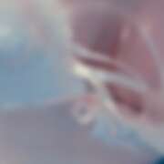 ヒメ日記 2026/07/11 08:02 投稿 ゆめ Second Love（セカンドラブ）