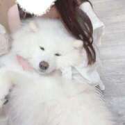 ヒメ日記 2025/07/03 09:02 投稿 まほ オペラ(吉原)