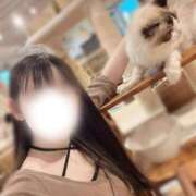 ヒメ日記 2025/11/26 10:12 投稿 まほ オペラ(吉原)