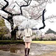 ヒメ日記 2026/04/07 21:32 投稿 まほ オペラ(吉原)