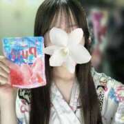 ヒメ日記 2025/06/23 16:24 投稿 ななは いざ候 別館