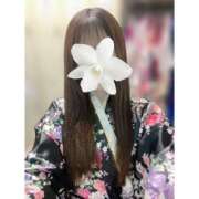 ヒメ日記 2025/08/01 08:14 投稿 ななは いざ候 別館