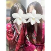 ヒメ日記 2025/08/31 20:44 投稿 ななは いざ候 別館