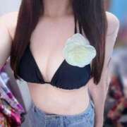 ヒメ日記 2025/09/01 15:14 投稿 ななは いざ候 別館