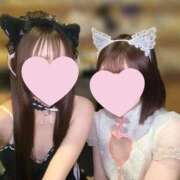 ヒメ日記 2025/11/07 09:14 投稿 ななは いざ候 別館