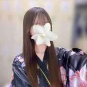 ヒメ日記 2025/11/14 22:44 投稿 ななは いざ候 別館